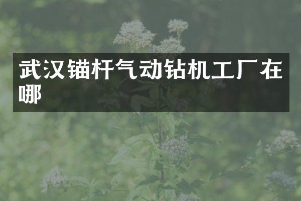 武汉锚杆气动钻机工厂在哪