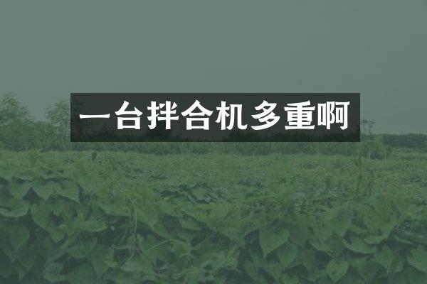 一台拌合机多重啊