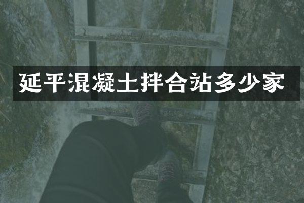 延平混凝土拌合站多少家