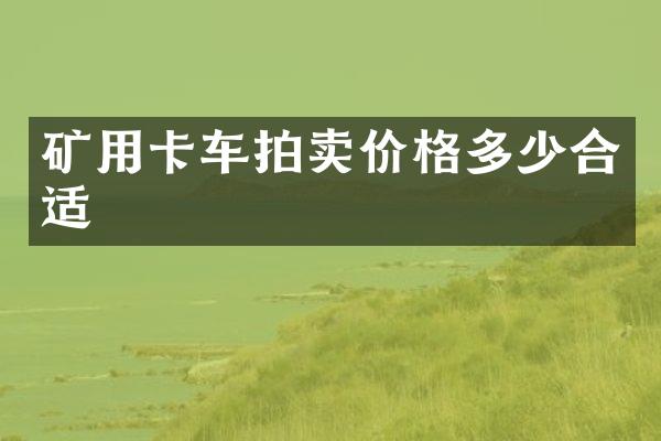 矿用卡车拍卖价格多少合适