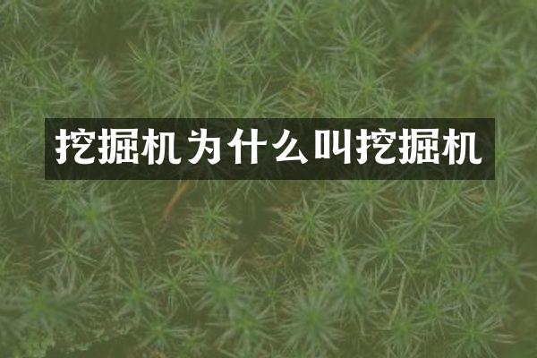 挖掘机为什么叫挖掘机