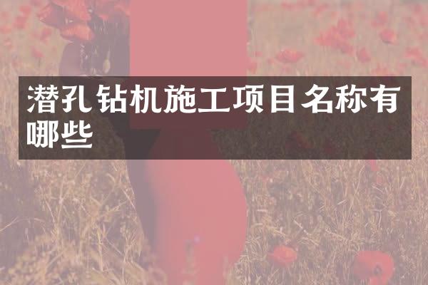 潜孔钻机施工项目名称有哪些