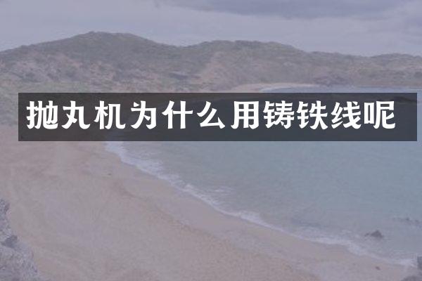 抛丸机为什么用铸铁线呢