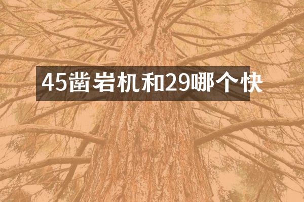 45凿岩机和29哪个快