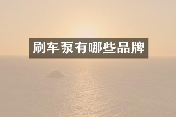 刷车泵有哪些品牌