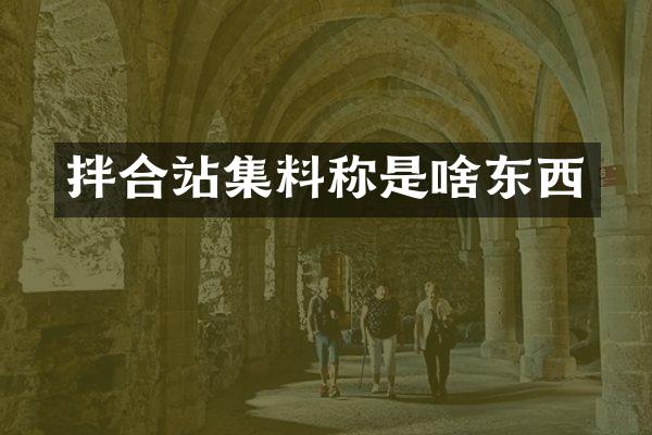 拌合站集料称是啥东西