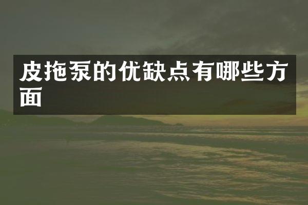 皮拖泵的优缺点有哪些方面