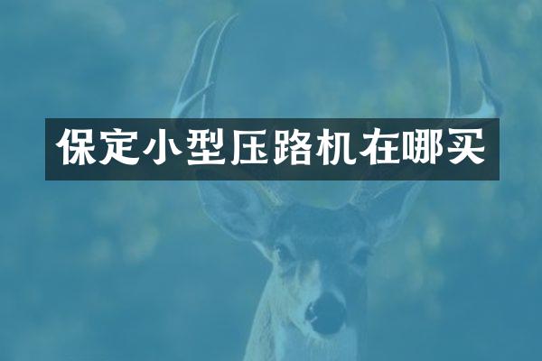 保定小型压路机在哪买