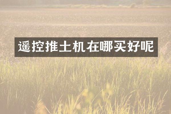 遥控推土机在哪买好呢