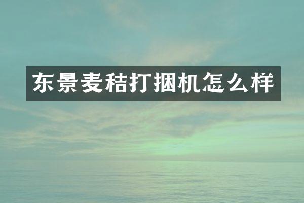 东景麦秸打捆机怎么样