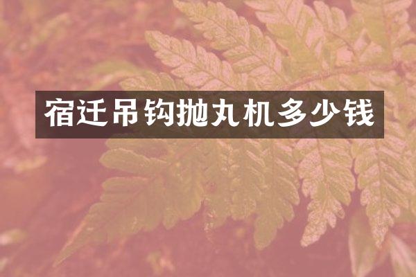 宿迁吊钩抛丸机多少钱