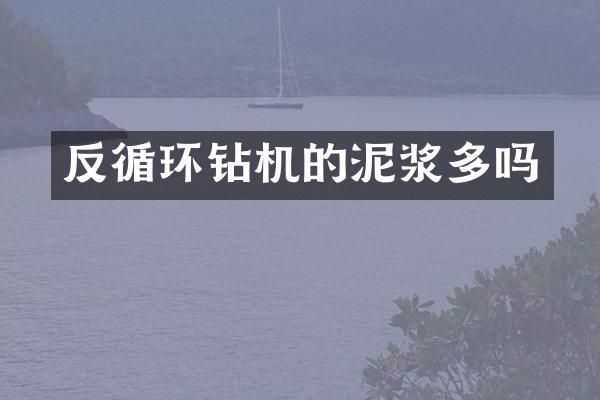 反循环钻机的泥浆多吗