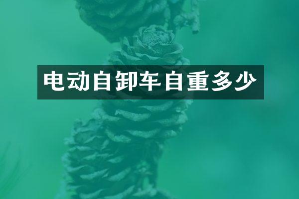 电动自卸车自重多少