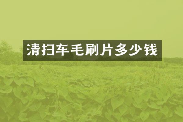 清扫车毛刷片多少钱