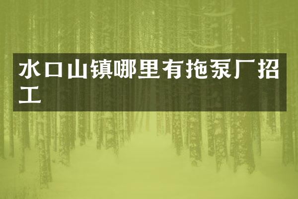 水口山镇哪里有拖泵厂招工