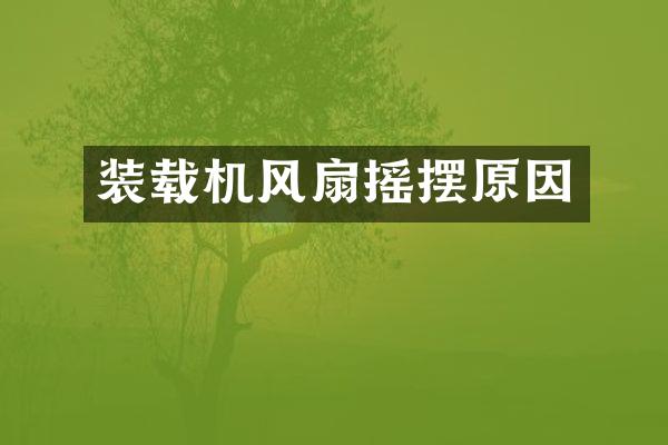 装载机风扇摇摆原因