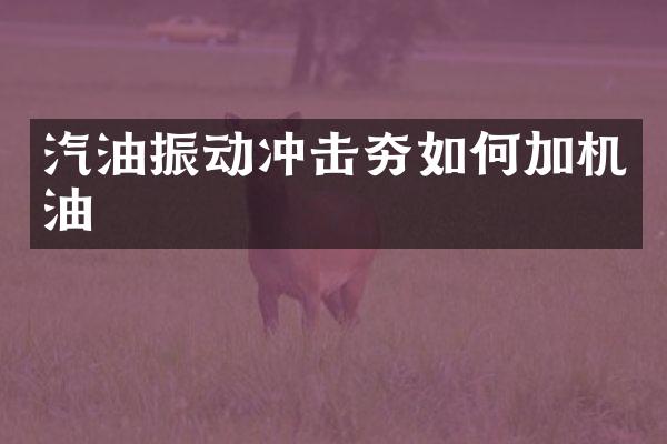 汽油振动冲击夯如何加机油