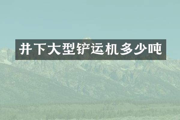 井下大型铲运机多少吨