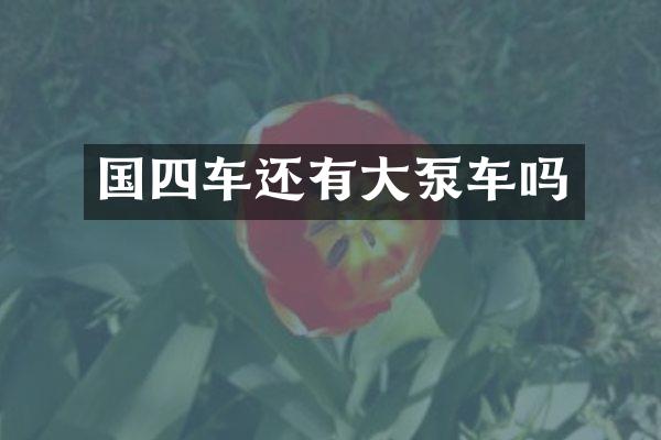 国四车还有大泵车吗