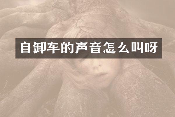 自卸车的声音怎么叫呀