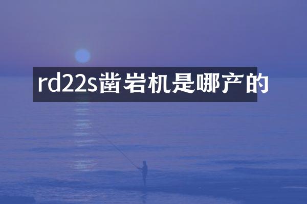 rd22s凿岩机是哪产的