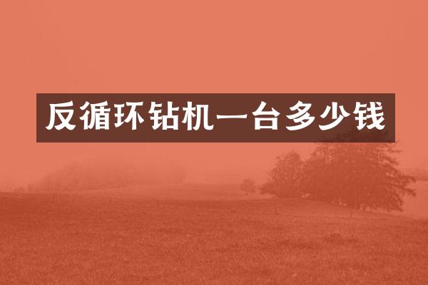 反循环钻机一台多少钱