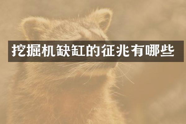 挖掘机缺缸的征兆有哪些