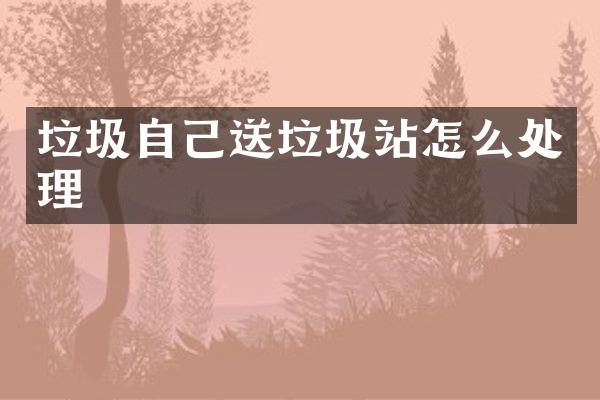 垃圾自己送垃圾站怎么处理