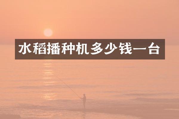 水稻播种机多少钱一台