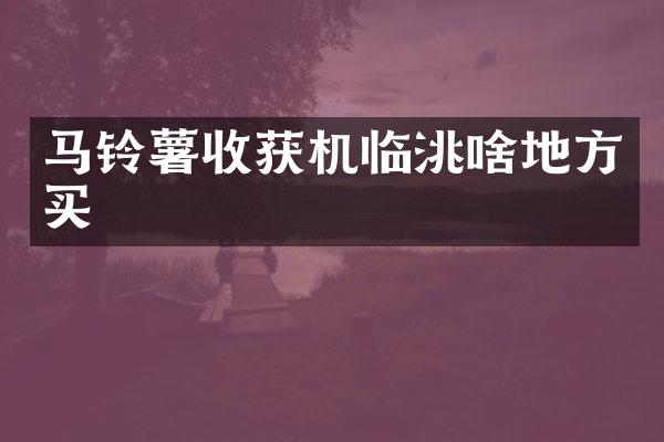 马铃薯收获机临洮啥地方买