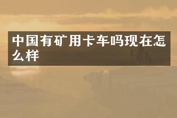中国有矿用卡车吗现在怎么样