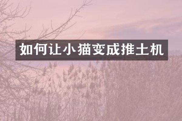 如何让小猫变成推土机