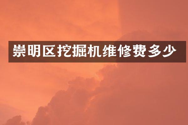 崇明区挖掘机维修费多少