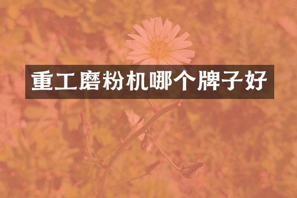 重工磨粉机哪个牌子好