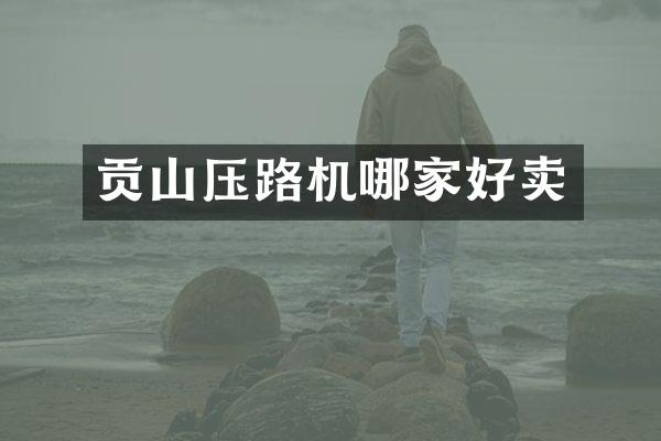贡山压路机哪家好卖