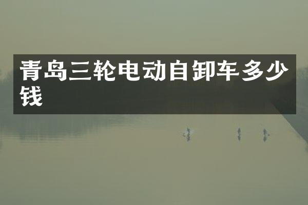 青岛三轮电动自卸车多少钱