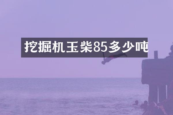 挖掘机玉柴85多少吨