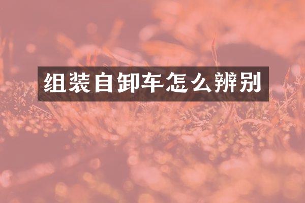 组装自卸车怎么辨别