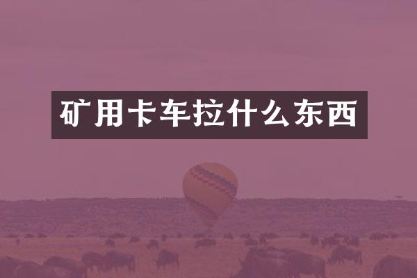 矿用卡车拉什么东西