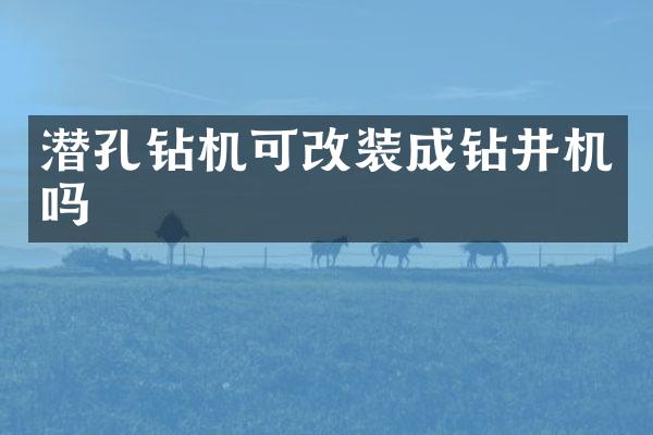 潜孔钻机可改装成钻井机吗