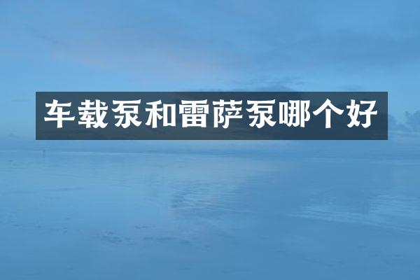 车载泵和雷萨泵哪个好