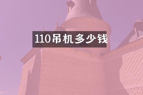 110吊机多少钱