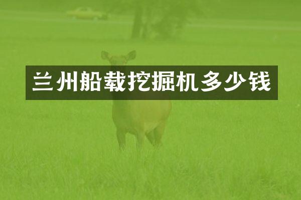 兰州船载挖掘机多少钱