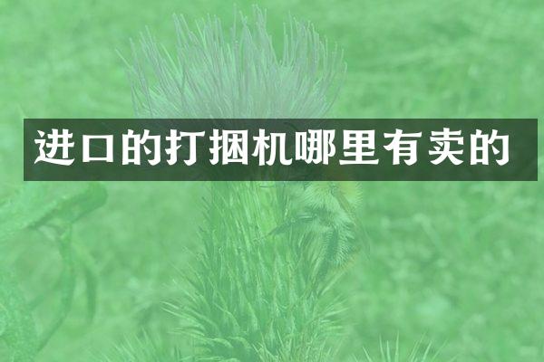 进口的打捆机哪里有卖的