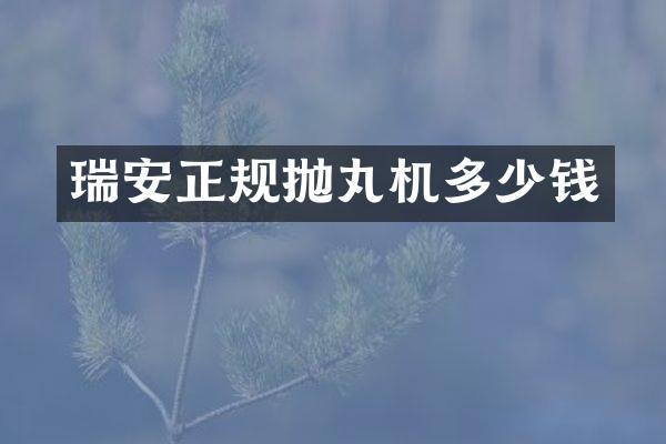 瑞安正规抛丸机多少钱