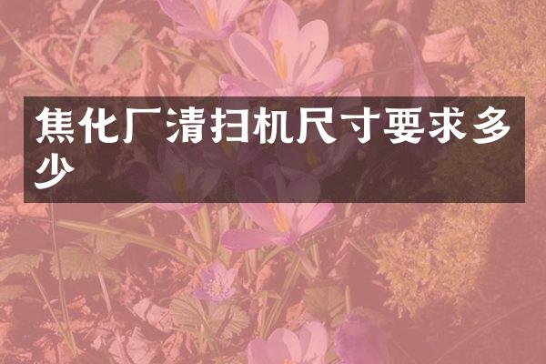 焦化厂清扫机尺寸要求多少