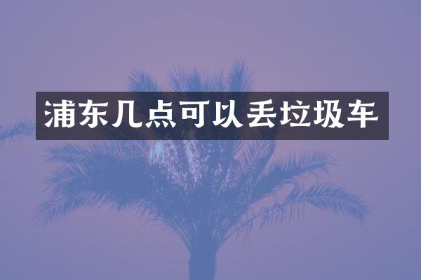 浦东几点可以丢垃圾车