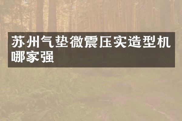 苏州气垫微震压实造型机哪家强