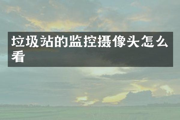 垃圾站的监控摄像头怎么看