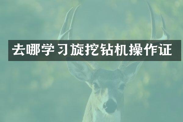 去哪学习旋挖钻机操作证